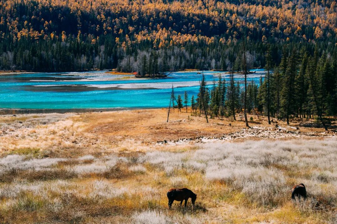 9�´����������㣡��������٣��ȹ�����ˣ�